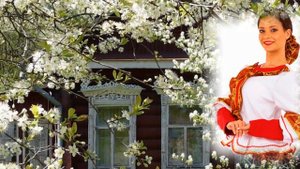 Под окном широким, вишня белоснежная цветёт.-Людмила Б