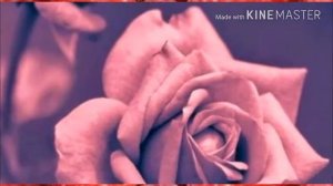 Клип ,,Твои глаза''