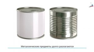 Сроки разложения мусора