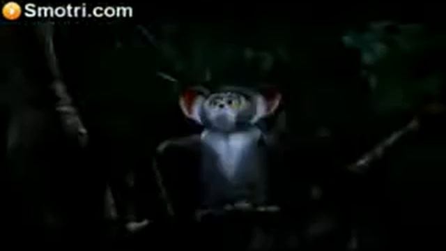 даёжь молодёжь прикол мадагаскар смотреть онлайн