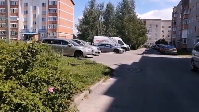 День со мной. Расстроилась. Заготовка стручковой фасо? смотреть онлайн