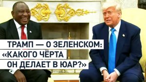 «Какого чёрта он делает в ЮАР?»: Трамп рассказал о звонке Зеленскому