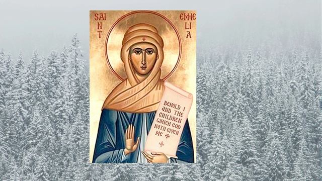 Евангелие дня 14 ЯНВАРЯ 2025 с толкованием. Апостол дня. Ж смотреть онлайн