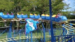 Акула Карусель 🥰