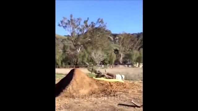 ЛУЧШИЕ ПРИКОЛЫ 2016 Сентябрь   ТОП ПОДБОРКА ПРИКОЛОВ #221 смотреть онлайн