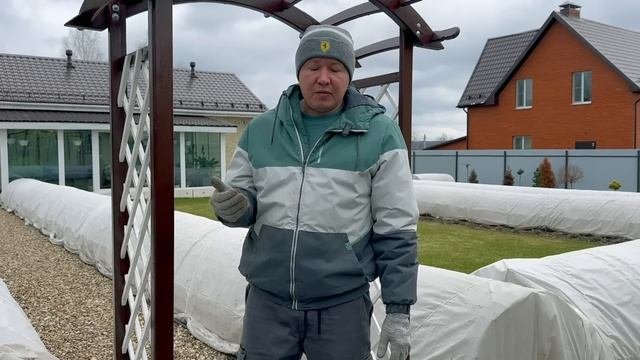 ВНИМАНИЕ! КОРИЧНЕВЫЕ СРЕЗЫ НА ПОБЕГАХ У РОЗ. НИЧЕГО НЕ