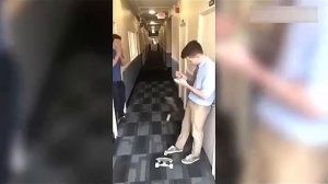 Всячинки