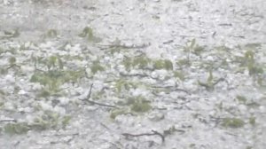 Град в Ставрополе 14.05.2016