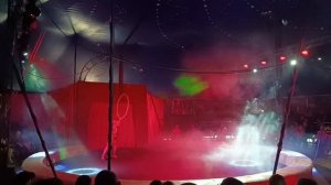 Искитим цирк Шапито