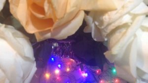 С ДНЕМ РОЗ! БЕЛЫЕ РОЗЫ,БЕЗЗАЩИТНЫ ШИПЫ!