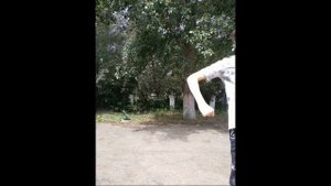 Дикий Вадик