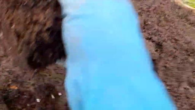 создаем экстримальные условия , высаживаю томаты смотреть онлайн