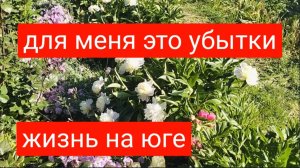 #25🌷20 мая.Для кого-то хорошо,а для меня это очень плохо/Убытки неизбежны