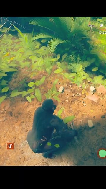 Обезьяна vs Змея Ancestors: The Humankind Odyssey ➤ Прохождение #3-1