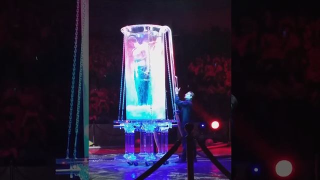 #Смертельный номер# цирк#шоу на воде🎪🤩 смотреть онлайн