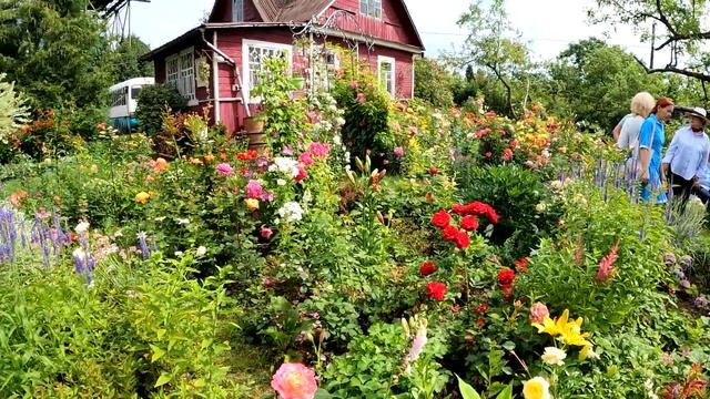 Праздник роз 2024 смотреть онлайн