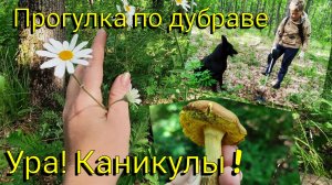 Ура! Каникулы 🪅 Для детей Медовый пух 🍯🍰 Прогулка по дубраве 🌳