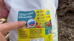Добавьте ЭТО в лунку при посадке огурцов вы удивитесь
