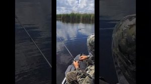 Рыбалочка, в конце видео, мощная щука.