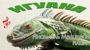 "Игуана" клип, Ансамбль Малинада #ansambl_malinada, #Lidiya_Shcherbakova, #iguana, #yumor_pesnya