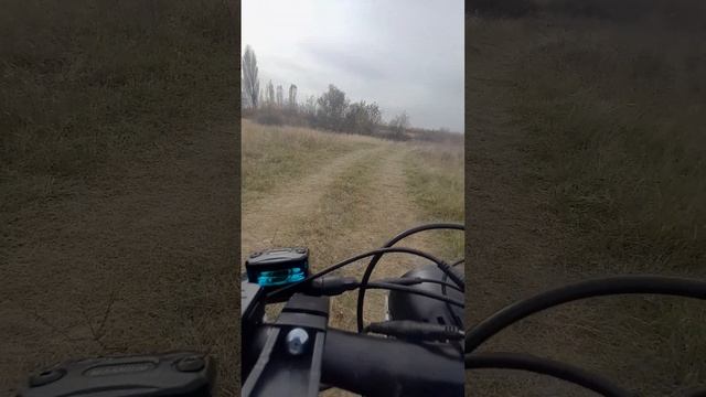 в горы на электро фэтбайке gt v 11 pro carbon