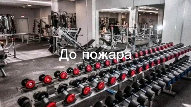 Зимняя вишня до и после. #зимняявишня