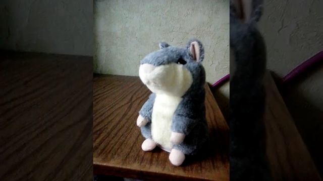 Хомяк-повторюшка - We will rock you смотреть онлайн