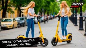 Электросамокатам укажут на ПДД 📺 Новости с колёс №3295