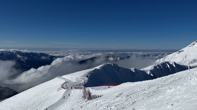РОЗА ПИК. Высота 2320. Красная Поляна. 15.01.2025. смотреть онлайн