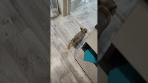 мой настоящий друг ❤️