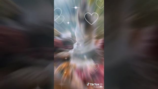 VID-20250519-WA0195