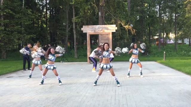 Чир-Микс V.I.P