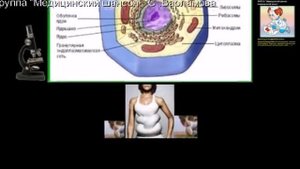 ЗАВТРА ДОЛЖНА БЫТЬ ЗАРПЛАТА исп медквартет "Куперит " ВМА