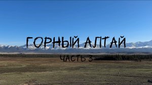 Наше маленькое путешествие на автодоме с двумя котами на Горный Алтай. Часть 3
