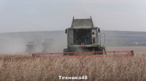 Claas Tucano 580 на уборке сои. Ставропольские комбайны на ли?