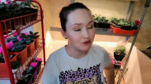 🌱 Томаты vs Помидоры: в чём разница? 🌱