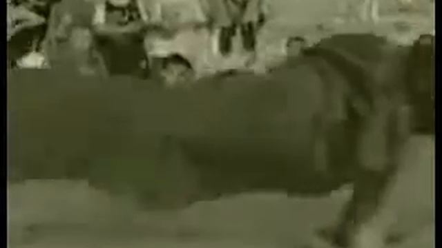 Программа 9 Turtle