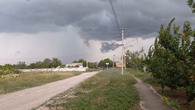 Дожди в Крымуправда уже с переборомпортится урожай а