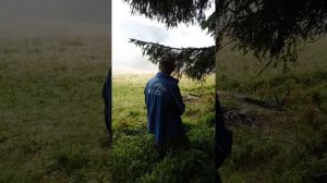 Песни проводника Василя. Закарпатье.