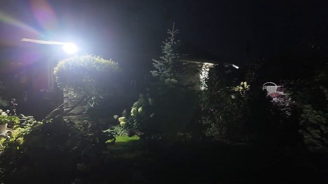 Ночной сад: Магия под звездами