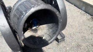 В БЕЛАРУСЬ на МАШИНЕ С ДЕТЬМИ. 🚙 Что посмотреть за 2 дн