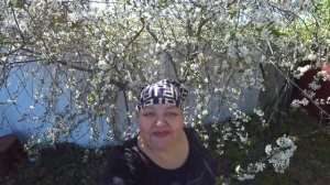 ДАЧА/ОТВЕТИЛА/ПРОДОЛЖАЕМ ОБУСТРОЙСТВО УЧАСТКА/ПОСАДИ