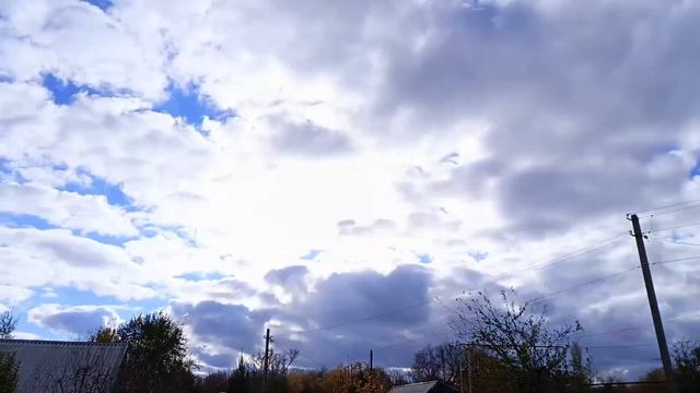 Дела садовые 03.11.24 #обрезкавинограда #обрезкаспаржи #г? смотреть онлайн