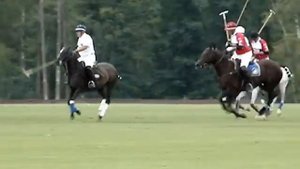 Конное поло. Финальная игра сезона 2012.