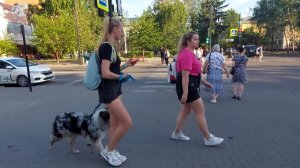 Красноярск. Пришло лето .Солнечный день