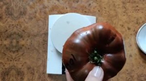 Томат Полярная звезда