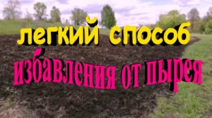 Лёгкий способ избавления от пырея