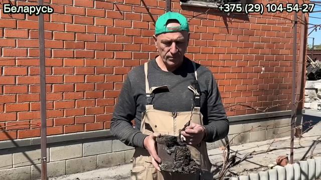 Беларусь.03.05.2025.Трагедия на винограднике Вячеслава До? смотреть онлайн