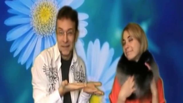 Четыре пожелания для милых женщин на 8 марта! смотреть онлайн