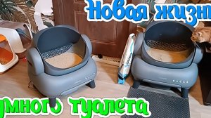 Новая жизнь умного туалета.